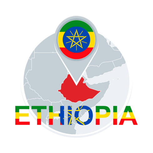 ゲイシャ GEISHA/Ethiopia Gesha